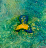 Mermaid Bath Bombs - Ivory Anchors